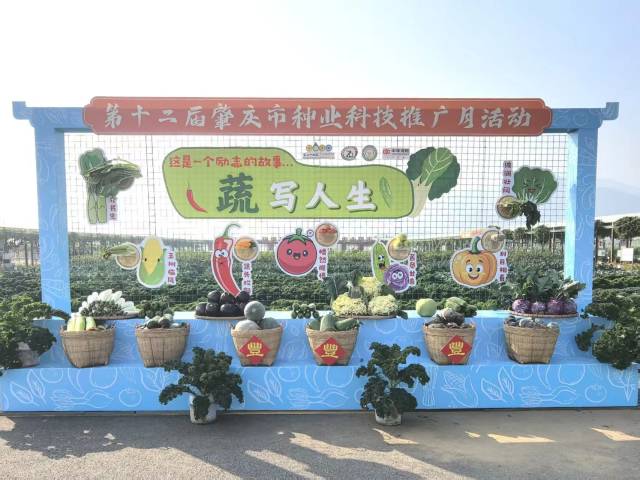 南方农村报 张植宏 拍摄