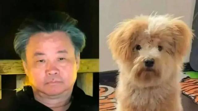 图片来源：Vista看天下