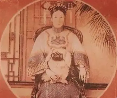 图片来源于网络