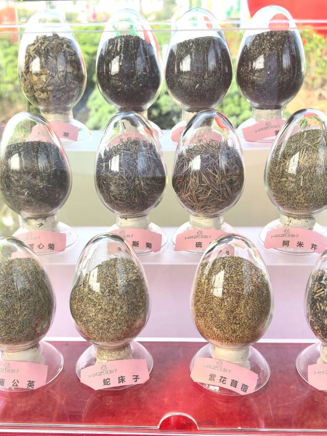 南方农村报 张植宏 拍摄