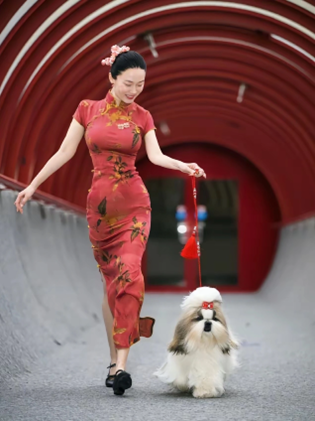 图片来源于网络