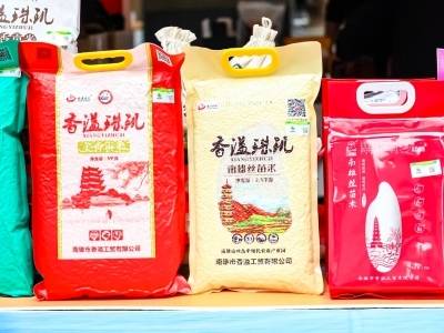 北京路文明集市，把“南雄辣”搬来了！ | 文明集市县域行⑥