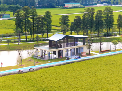 揭秘东莞新晋百亿村：共富如何实现？丨众说百千万㉒