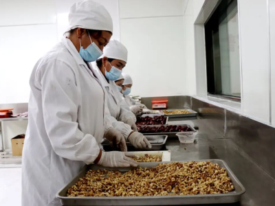 精深加工赋能，三师红枣产业全链升级