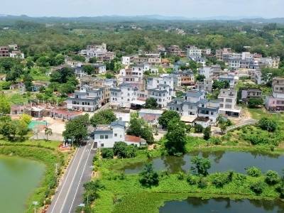 从白云到粤西廉江，蜜柚林与同心楼间的帮扶故事｜百千万 广州范