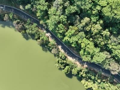 来论｜周春山：发挥地域特色，推进高质量发展