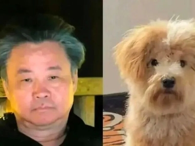 又双叒叕上热搜！余华“同款”潦草小狗，来头居然这么大！