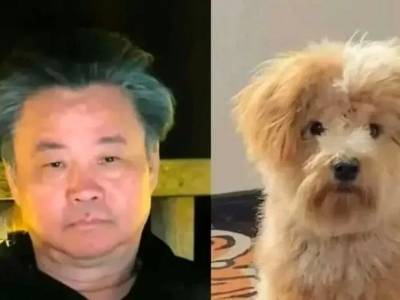 又双叒叕上热搜！余华“同款”潦草小狗，来头居然这么大！