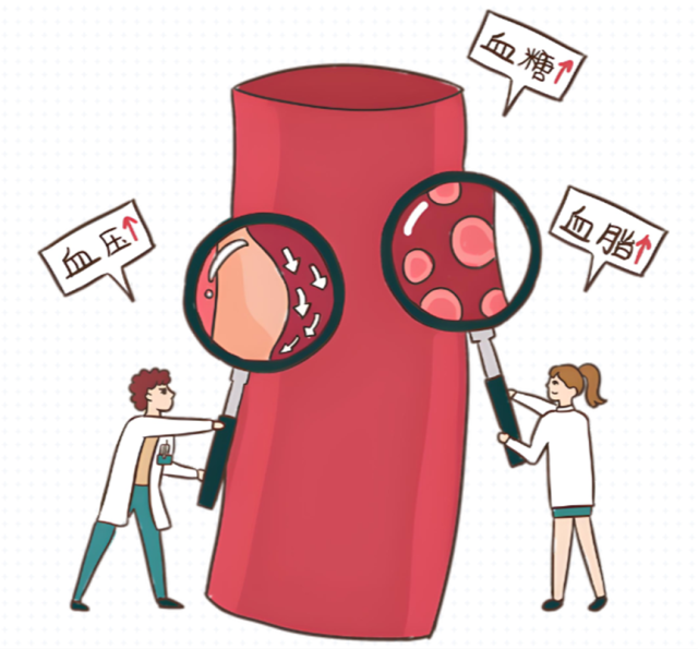 泛血管疾病：一次检查，全身血管的健康预警