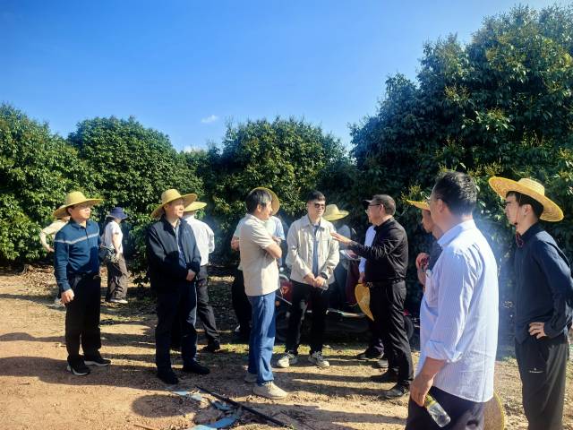 南方拍客 任亚航 摄