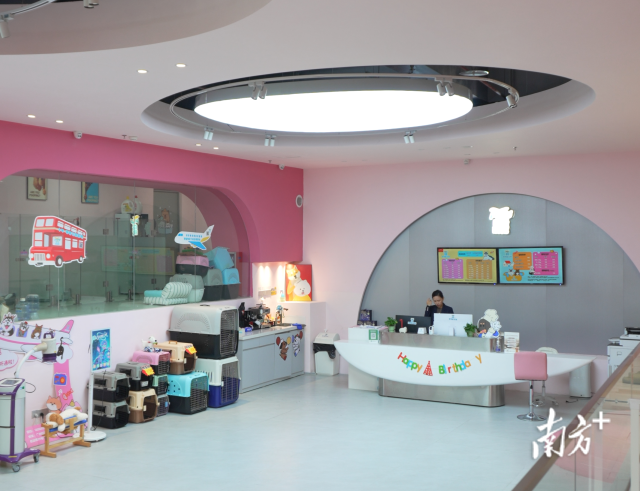 宠物航站楼内的环境。