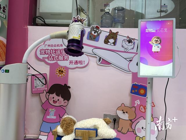 萌宠在宠物航站楼可享受理疗、AI健康问诊服务。