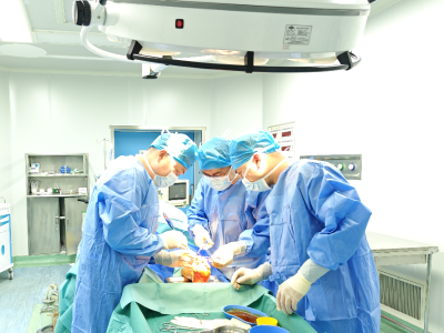 医路焕新，高明“百千万工程”让优质医疗“触手可及”