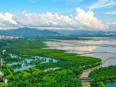 重磅创新！广东发文推动自然资源资产“打包”供应