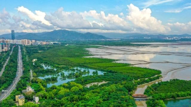 重磅创新！广东发文推动自然资源资产“打包”供应