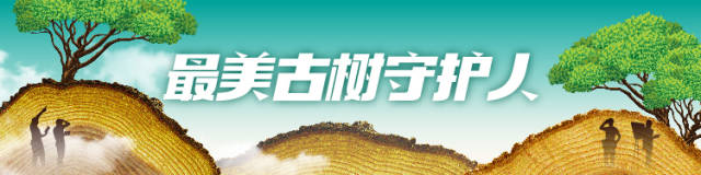 南方农村报 刘丽梅 制图