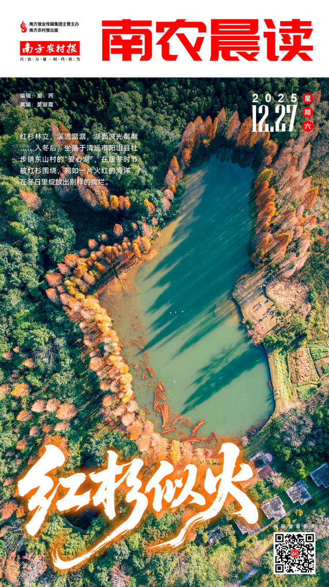 南方农村报 巢芮 制图