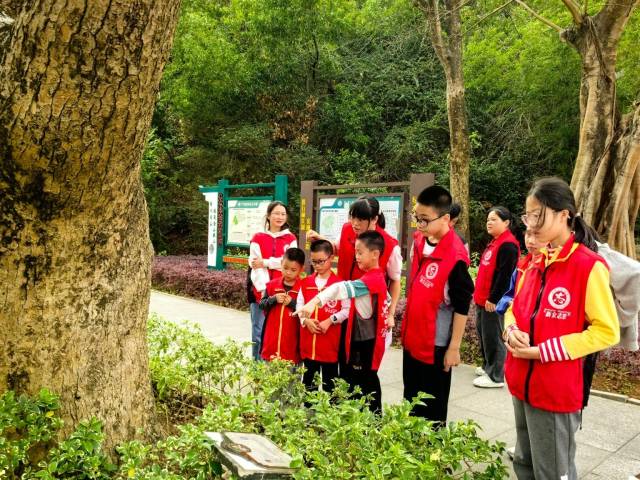 陈小玲（右四）向青少年科普树木保护相关知识。