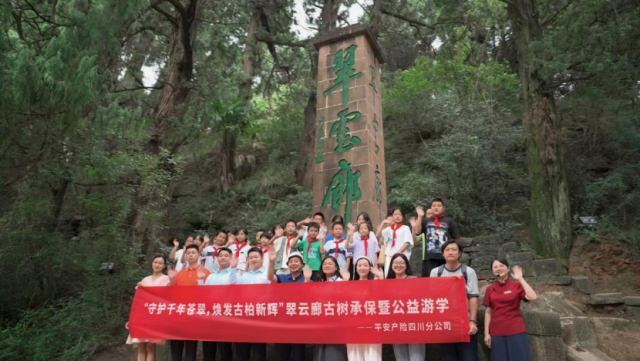 广元清河小学师生古柏寻迹活动