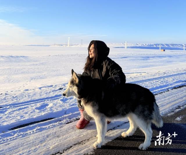 马莹莹带着爱宠哈士奇去看雪景。&nbsp;