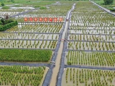 走进城西街道，看“一条虫”如何激活乡村振兴新动能 | 走进江城·喜见成效②