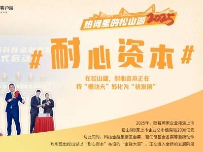 耐心资本，在松山湖做了个“大局”｜热词里的2025 ④