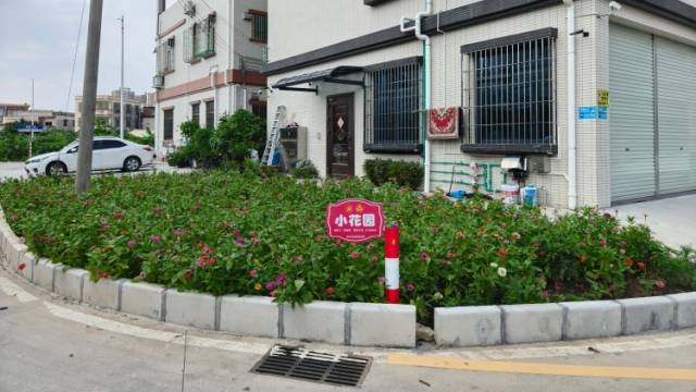 中山西冲社区：党建引领筑堡垒，民生为先启新程｜百千万 横栏范