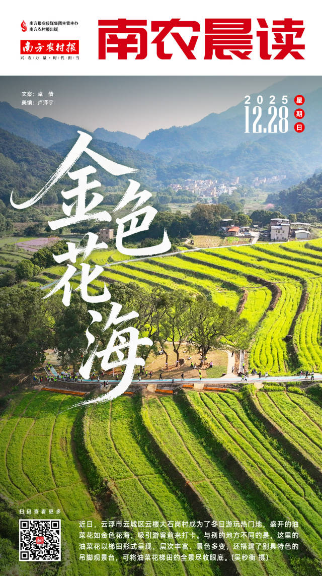 南方农村报 巢芮 制图