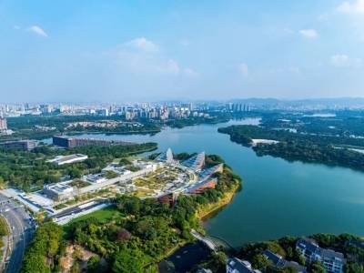 松湖人才引力，Buff叠满｜热词里的2025 ⑤