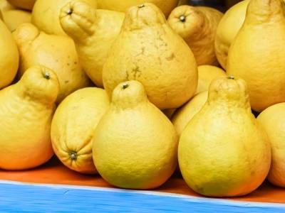 梅州兴宁沙田柚热销北京路|文明集市县域行⑭