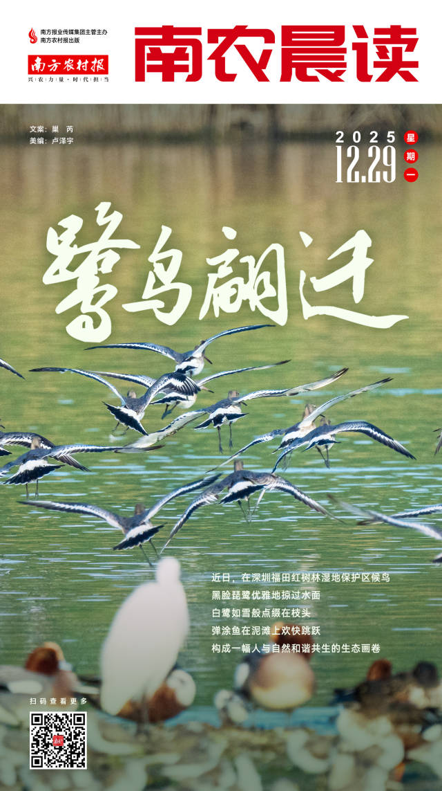 南方农村报 吴俊麒 制图