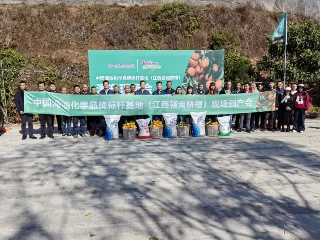 寻乌脐橙品牌标杆基地测产现场。