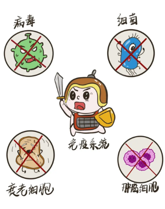 当身体的警察造反了——揭秘自身抗体