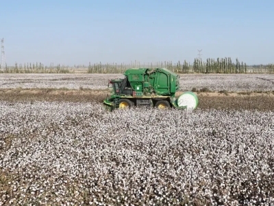中国海油化学植物营养方案获权威认证！科技兴农标杆基地书写振兴篇章