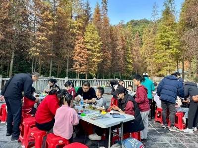 初冬杉林焕彩时，亲子共绘生态课