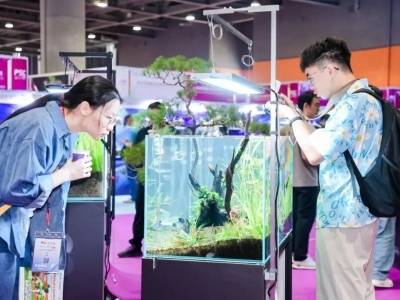 方寸鱼缸装山海！年轻人把“水下疗愈”焊在工位上