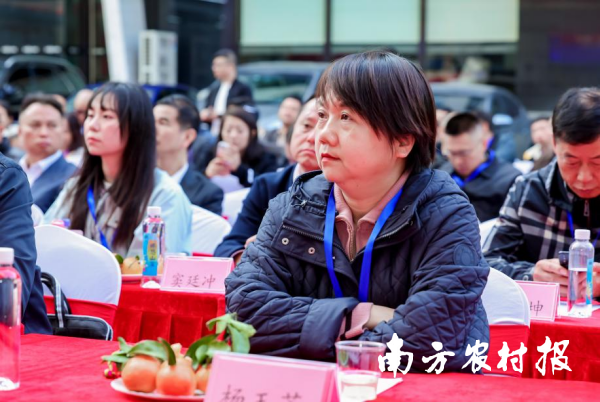 黔东南州商务局党组成员、副局长杨玉芳。