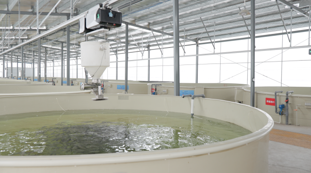 恒兴集团创建的全国首家无人智能水产育苗车间