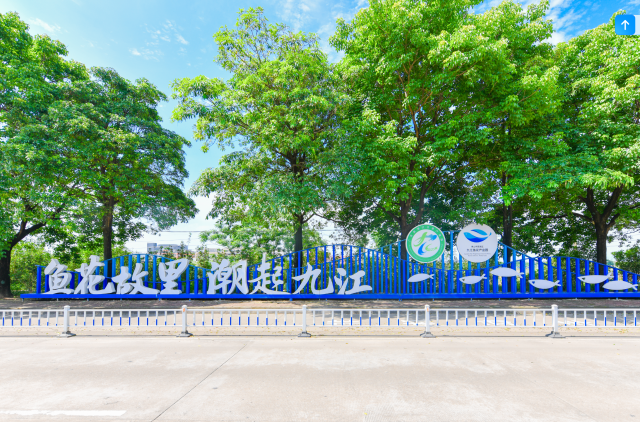 鱼花故里，潮起九江