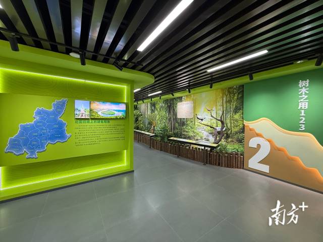 树木之用123 。 南方+ 卢逸轩 拍摄