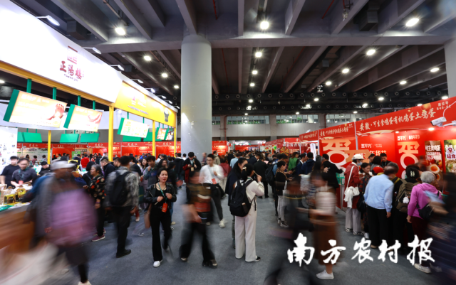 广东省2026年“消费帮扶新春行动”启动仪式暨远方好物“新春年货节”展销推介活动现场。