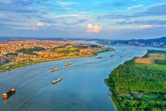 九江镇海心沙生态种植区田园与渔业风光相映成趣