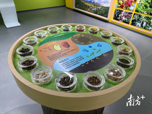 树木知识ABC。 南方+ 卢逸轩 拍摄