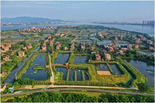 九江镇海寿岛示范性美丽渔场获授“省级示范性美丽渔场”称号