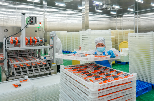 九江镇一加工车间内，正封装鲜鱼片销往全国各地