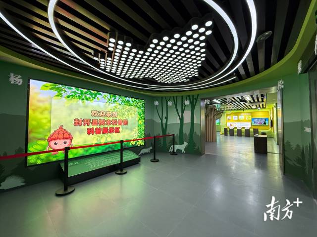 序厅。 南方+ 卢逸轩 拍摄