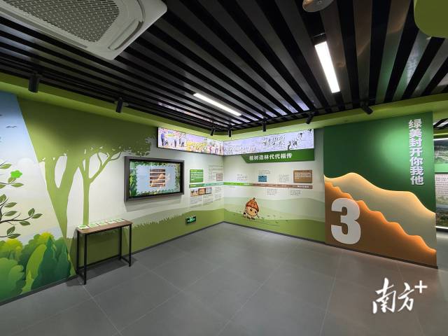 绿美封开你我他 。 南方+ 卢逸轩 拍摄