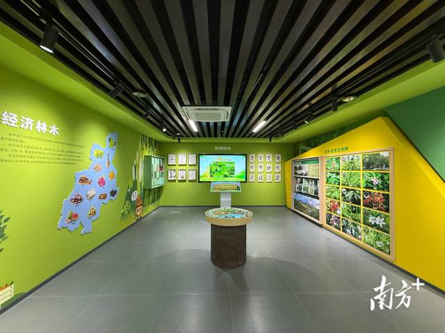 树木知识ABC。 南方+ 卢逸轩 拍摄