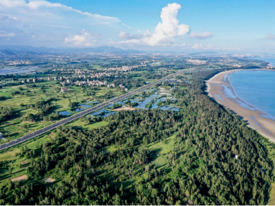 从古村落到黄金海岸，茂名滨海新区释放文旅新活力