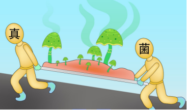 别只知道细菌病毒！带你认识 “微生物家族” 里的 “隐形成员”